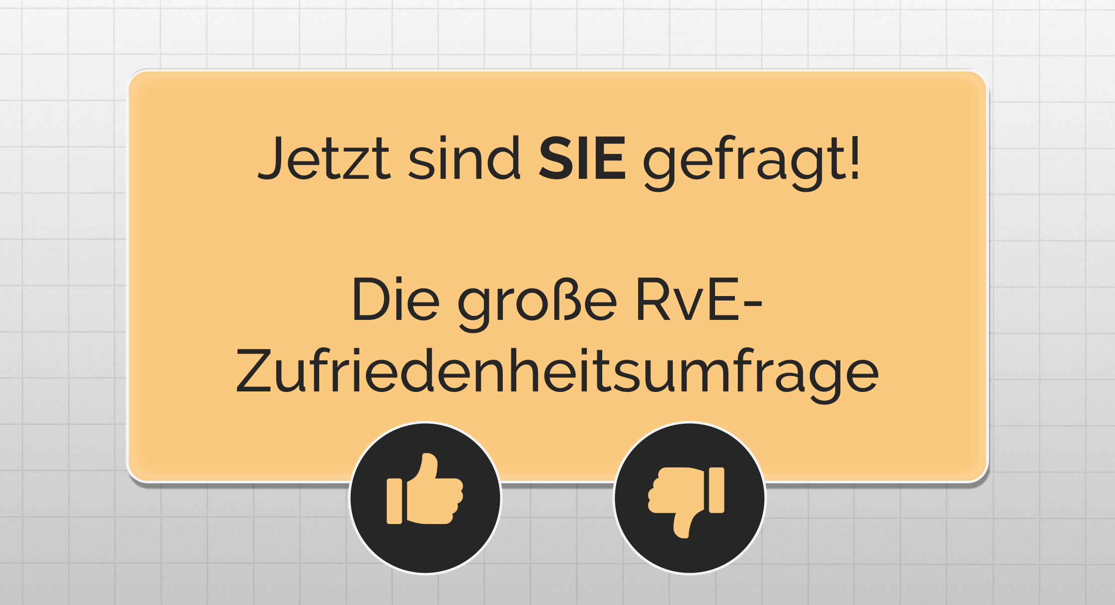 Bild aus der Newsletter-Ausgabe